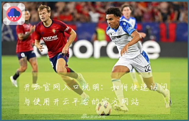 开云官网入口说明：如何快速访问与使用开云平台的官方网站